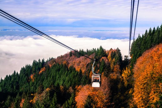 Schauinslandbahn_Herbst_Freiburg___VAG_Freiburg_AnjaThölking.jpg