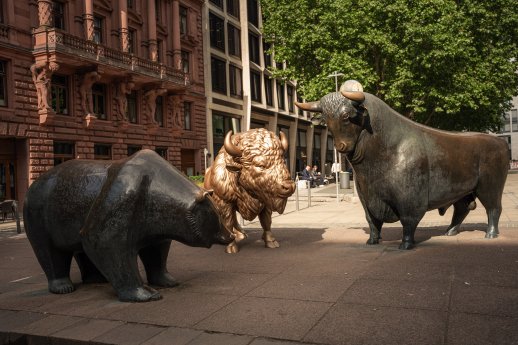BISON_Pressefoto_2.jpg