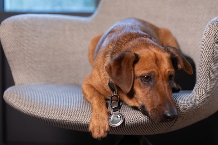 kr25-05si_Airtag holder_Troika-7.JPG