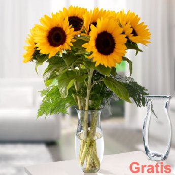 6923-7-sonnenblumen-im-bund-mit-vase.png