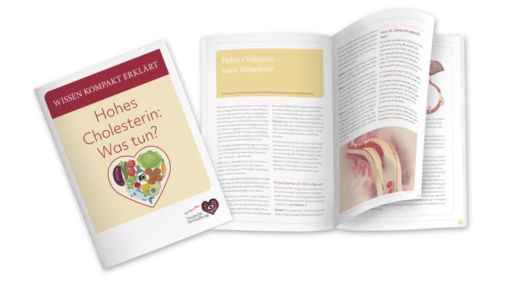 Collage_DHS-Ratgeber_Hohes-Cholesterin-Was-tun_2025.jpg