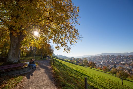 Herbst Drei Weieren.jpg