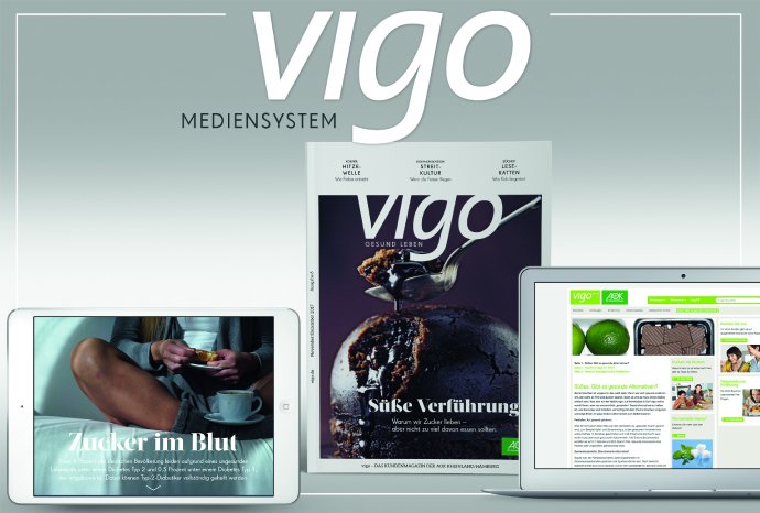 3. vigo_Mediensystem_Cover_wdv-Gruppe_Fox_Award_Gold_2018.jpg