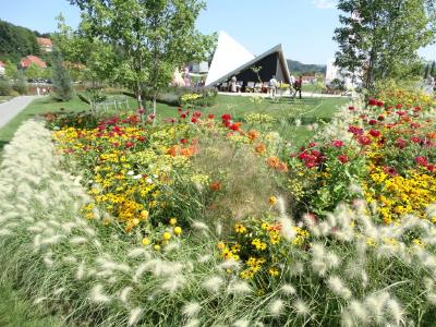 Natur in der Stadt - Staudenmischung in Hildburghausen. (Foto: Jens Schiller)