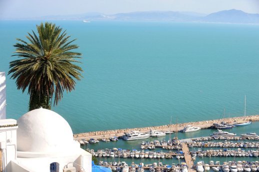 Harbour at Four Seasons Hotel Tunis.jpg