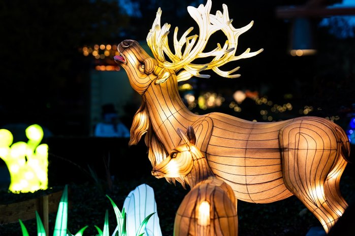 Wunderlight Kalkar 2024 00005.jpg