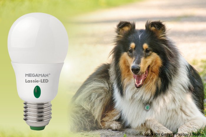 1-Megaman Lassie LED Lampe Aprilscherz 2016 gruen mit Kennung.jpg