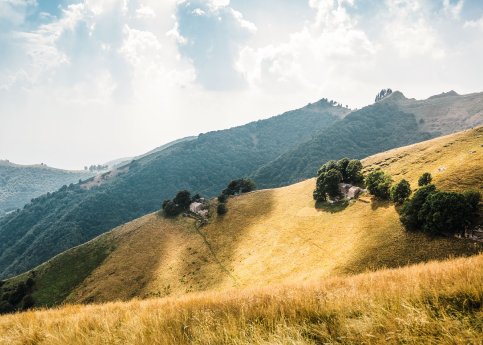High quality-Muggio, Alpe Genor-Copyright Switzerland Tourism - Ivo Scholz.jpg