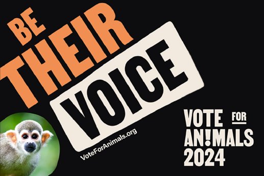 Vote For Animals_groß.jpg