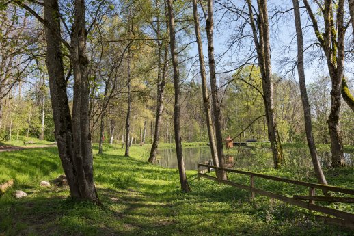 Kloster Irsee - Wald und Weiher Foto_Martin_Zurek.jpg