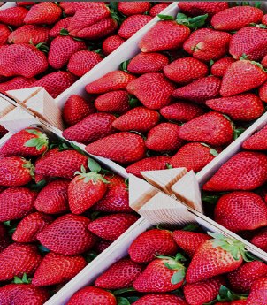Fresas_en_madera.png