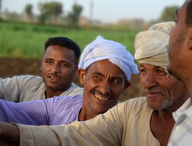 Luxorianer_(c) Barbara Kreißl.JPG