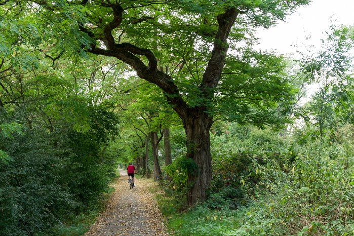 Radweg_VSG_Engerser_Feld_LR_GHAHN.jpg