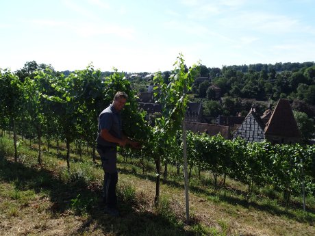 27_maulbronn_aussen_weintradition_foto-weingut-jaggy_ssg-pressebild.JPG