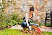 So schön das bunte Laub im Herbst an den Bäumen leuchtet –spätestens wenn die Pracht zu Boden rieselt, bedeutet es für den Gartenbesitzer vor allem eins: Arbeit. Bild: © CandyBox Images/stock.adobe.com/bauemotion.de