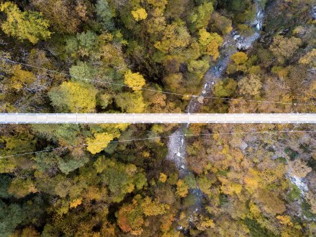 Ponte Tibetano-Bellinzona e Valli-Ludovic Pizzera.jpg