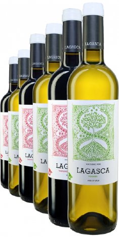 Weinpaket Dominio de Punctum Lagasca DUO BIO.jpg