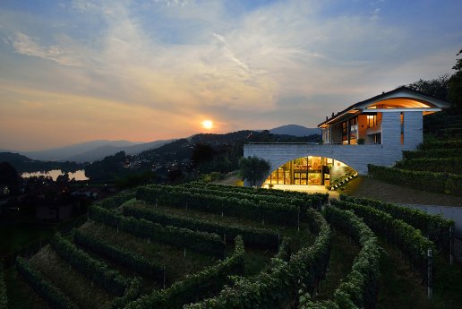 Cantina Moncucchetto-OLIVIERO VENTURI.jpg