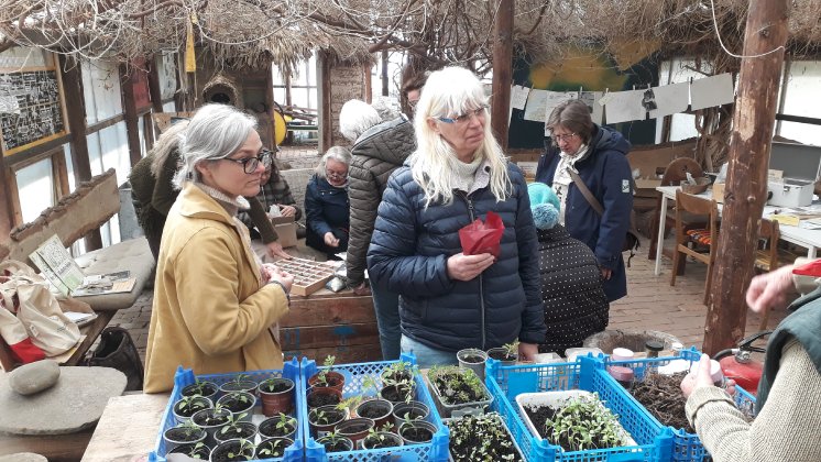 Austausch bei der 1.Saatgutbörse.jpg