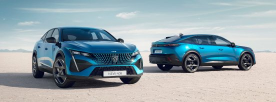 PEUGEOT_autonis Award (2).jpg