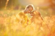 Wichtige Vitamine für deinen Hund