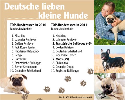 AGILA Haustierversicherung präsentiert die beliebtesten Hunderassen 2011.jpg