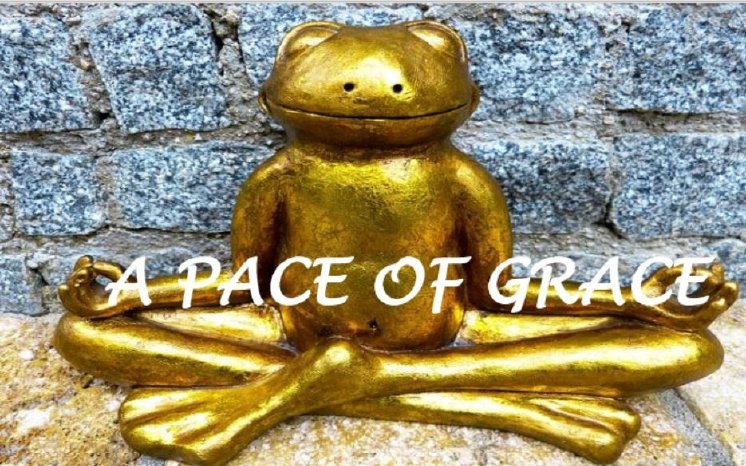 Frosch Pace of Grace.JPG