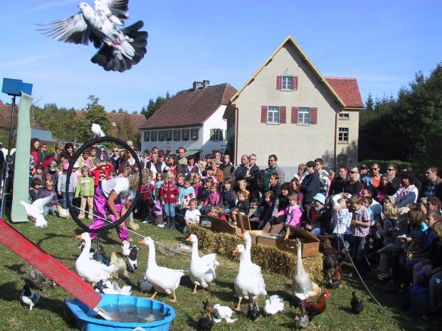 FLM Neuhausen Tiere, Menschen, Sensationen.JPG