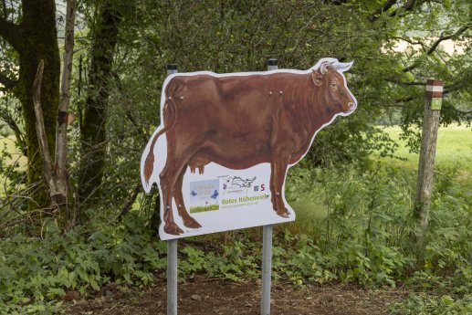 230702 Ero╠êffnung Bergma╠êhwiesen Familienpfad _10A0691 A6_Lutz Habekost.jpg