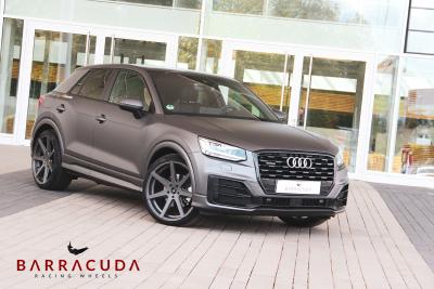 Audi Q Virus