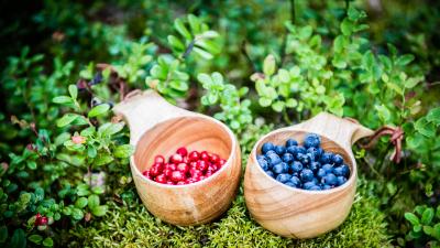 Essbare Beeren © Subarctic Incoming