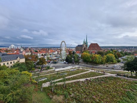 Blick vom Petersberg.jpg