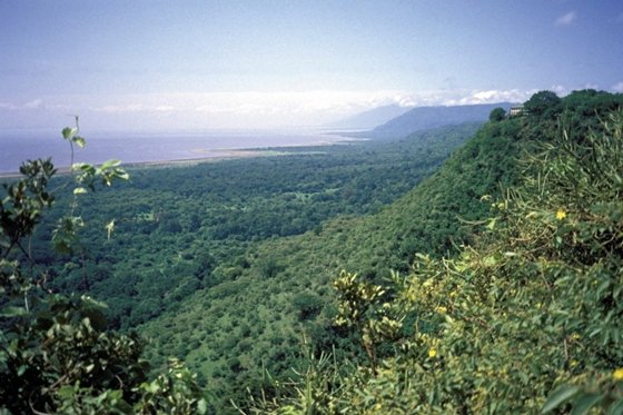 tansania_tansnp_lakemanyara_jd03.jpg