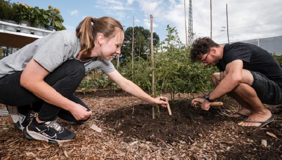 Webformat-PLUS-Urban-Gardening-Projekt-Karlsruhe-DSC04382-600x341.png