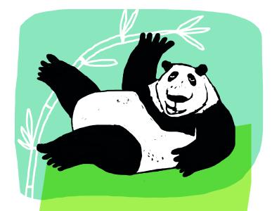 Cover Panda Bambus