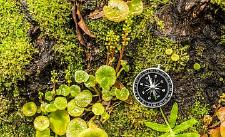 In den Yorkshire Dales lernen Naturfans, sich auf traditionelle Art mit dem inneren Kompass zu orientieren