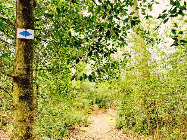 PM_Grenzgänger im Nordschwarzwald - „Historische Runde“ rund um Dobel.jpg