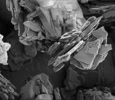 Joachim Koester: Cocaine #8, 2019, Silbergelatine-Abzug, 40 x 46,5 cm