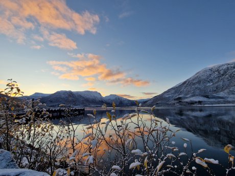 (c) Armin Rickert, Karawane (7).jpg