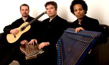 Saiten Trio Lanzinger