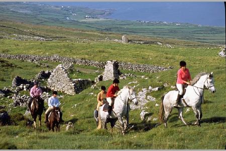 Wanderreiten in irland