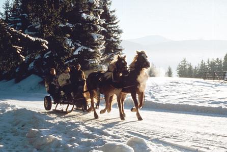 Lungau