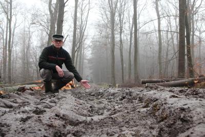 Stephan Nienaber Revierleiter der Försterei Oldenburg, Niedersächsische Landesforsten _ Weg im Wildenloh