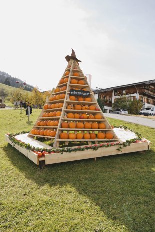 Kürbiswochen 2024 @Nick Berger Web-28.jpg