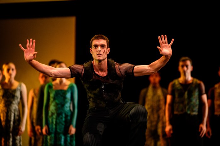 BallettVorpommern Othello 3 © Peter van Heesen.jpg