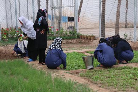 Die Frauen aus dem Gefängnis von Herat bei ihrer ersten Ernte
