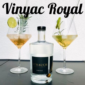 Vinyac Royal 1.png