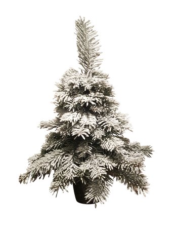 Mini-Weihnachtsbaum mit Schnee.png