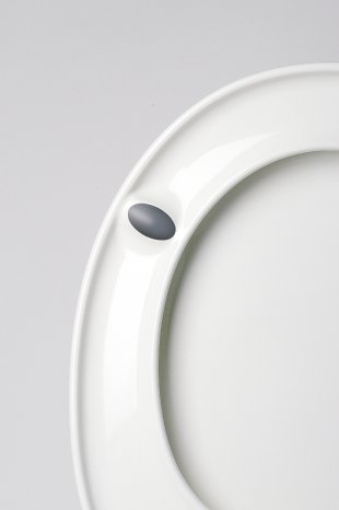 SANIdecor-WC-Sitz-Luxus-03.jpg