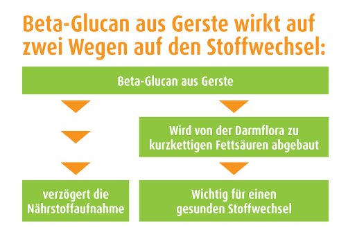 Infografik_Beta-Glucan aus Gerste.jpg